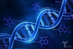 基因編輯新銳 會(huì)是下一個(gè)華大基因嗎？